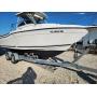 A Dusty Old Bag is offering 2001 Seaswirl Striper Walkaround 
