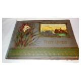 Several Old Postcard Albums With Complete Contents