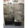 Online Auction - J & S Pet Store