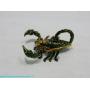 06/07/25: Yellow Gate Place Something for Everyone Summer Auction!!!!!!
