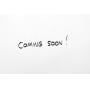 08/11/25: COMING SOON !!! F & L Auctions, Oakview Ave,  Henrico, VA, 23228