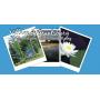 #25-741 - Village of Grantsburg, Wisconsin