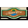 #26-792 - Town of Minocqua, Wisconsin