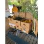 Monday Tailgate Auction - August 29th 2022
