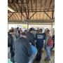 August 3d 2026 Weekly Tailgate Auction