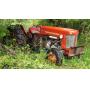 July 24th Online Auction