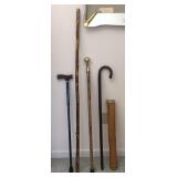 3 canes, 1 walking stick and one primitive