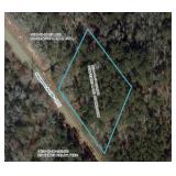 Orangeburg County FLC Auction - Meares Property Advisors, Inc