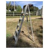 6 Metal Step Ladder