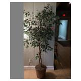 Artificial decorative ficus plant