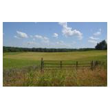 Auction 25 Acres+/- Divided or Whole--Prime I-85 L