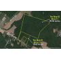 113 Acres of Timberland Zoned A-3 on Partlow Road - Spotsylvania County VA