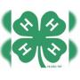 Oceana County Fair 4h Auction, Hart, MI