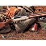 Sporting Goods & Firearms Auction (NO MINS OR RESERVES!) 9/15/2026