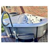 Hot Rod, Hot Tub, Taxidermy and Rock N' Roll Auction