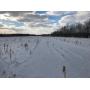 240 Acres of Farm Land - Tony, WI