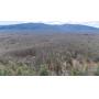 1.6 Acres with Home