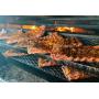 OPEN FOR BIDDING!!! Closed BBQ Joint Assets! (DERWOOD MD) Local Pick Up!