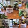 OPEN FOR BIDDING! Popular Hair Salon is Closing, Assets Up For Sale (HAGERSTOWN MD) Local Pick Up Only!