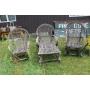 Cedarville Live Auction  Sept 19