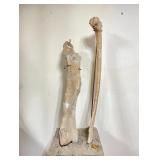 Online Only Auction of Dinosaur Bones, Minerals, Fossils and More