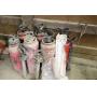 EAGLE CONCRETE RETIREMENT AUCTION