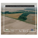 79+/- Acres in Washington County, North Carolina