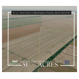 51 +/- Acre Farm in Washington County, North Carolina
