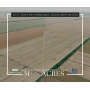 51 +/- Acre Farm in Washington County, North Carolina
