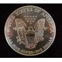 Online Only Coin Auction! Gold and Large Amount Of Silver!