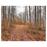 5 Acres Mostly Wooded Land W/ Cabin/Camper Site
Minutes To Salt Fork Lake Recreation Area!
