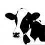 110 Head Of Quality Registered Holsteins
Online Only Through Cowbuyer.com 