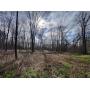 4 Acres Wooded Residential Land, Washington Twp., Marlington LSD
