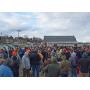 County Auction Barn