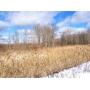 Attention Hunters and Developers - 106 Acres