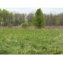 5.51 Acres With Home &amp; Pole Barn, Offered In 2 Parcels, Waterloo LSD