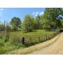 Guardianship Auction
3.85&plus;/- Acres Of Land W/ Well &amp; Septic
