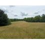 52&plus;/- Acres Of Open &amp; Wooded Land With Scenic Views &amp; Rolling Meadows