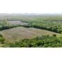128 Acres, Offered In Parcels, Ranging From 10 Acres To 50 Acres, All Contiguous, Approx. 2/3 Tillable Cropland Balance Wooded, Mineral Rights Transfer,&nbsp;