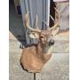 Fishing Boat And Equipment, Canoe
Tools, Native &amp; Western Collectibles
