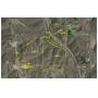 
	222 Acres Vacant Land, Offered In Four Parcels, Marketable Timber

	&nbsp;
