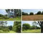 10&plus; Acres With Older Two-Story Home, Development Potential
Also Selling: Ford Tractor &amp; Misc.