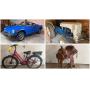 1977 MGB Convertible, Ford 8N Tractor, Husqvarna Mower, E-Bike Troy-Bilt Tiller And Chipper, Horse Saddles, Generator, More! 