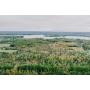 63 Acres Woodland, To Be Offered In 4 Parcels
Future Lake Retreat, Prime Wildlife Habitat
