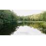 96&plus; Acre Hunting And Nature Retreat