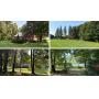 4&plus; Acres With Brick Bungalow, Four-Bedroom Home, 32 X 48 Pole Building, Garden Shed, Pond, Tranquil Setting With Mature Trees,&nbsp; John Deere Mower, Snowblower