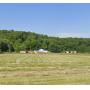 14.81-Acre Mini Farm, Fixer Upper Home, Pole Buildings, Storage Barns Pasture, Fields &amp; Woods
Also Selling: 2021 F-350, 2019 Ford Edge, New Holland Tractors, Trailers, Farm Equipment, Household
