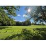 Massillon City Schools
3 Vacant Lots Selling As An Entirety, 2.5 Acres
