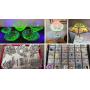 Quality Glassware, Pottery, Antique Furniture, Jewelry, Antique Store Closing