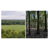 19&plus; Acre Hideaway, Featuring Of Open & Wooded Land, Timber, Wildlife, Nature, Palmyra Twp., Portage Co.&nbsp;